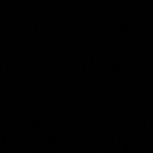 Meet your Posher, Jaden